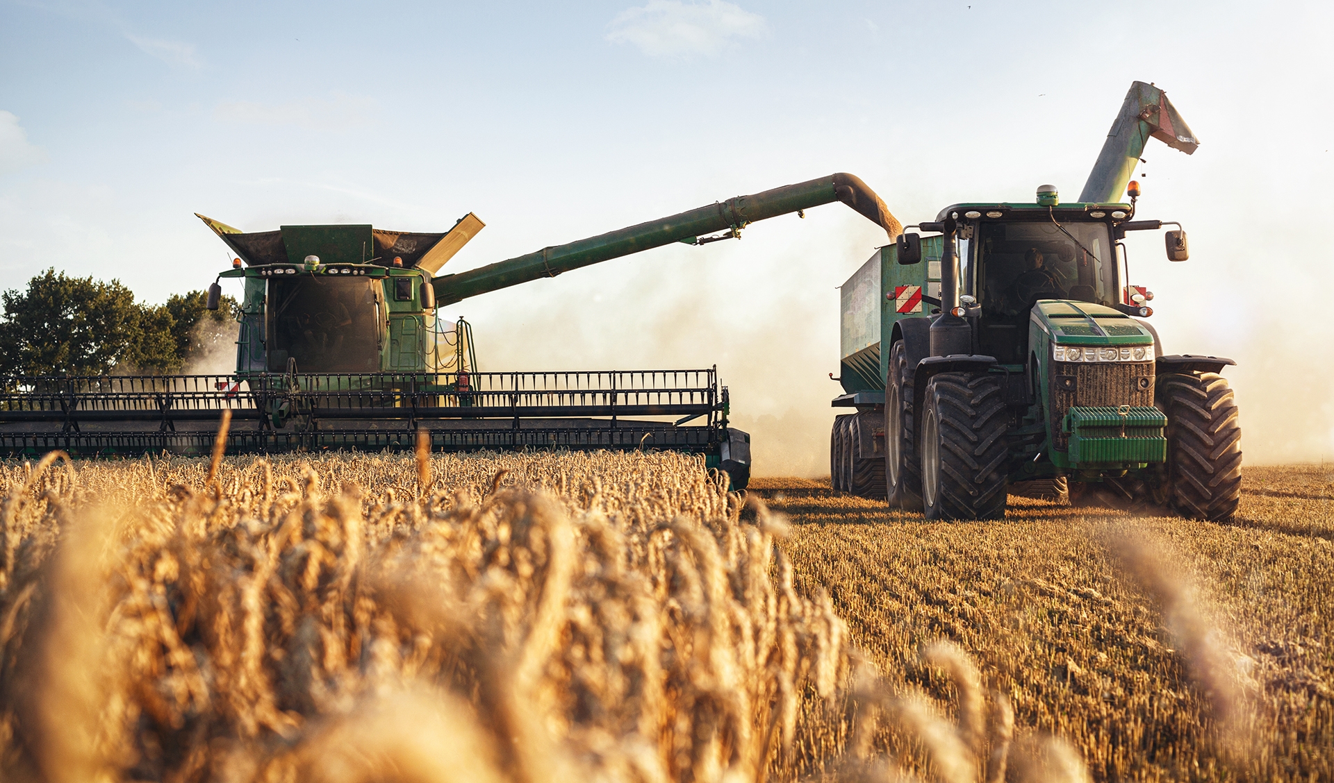 combine cutting wheat and dumping into grain truck